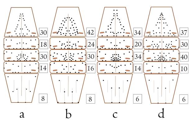 Patr&oacute;n de setas en los esternitos: a) Centruroides infamatus; b) Centruroides suffusus; c) Centruroides ornatus; d) Centruroides baldazoi sp. nov.