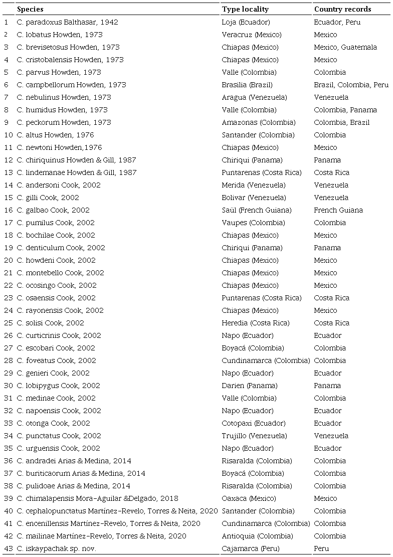 List of known species of genus Cryptocanthon, sorted according to their description date.