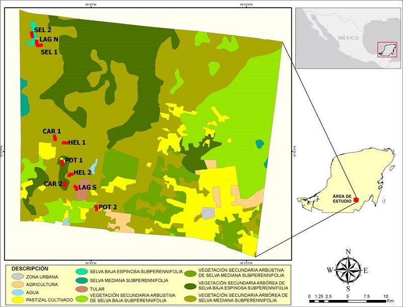 Ubicaci&oacute;n del Ejido Laguna Om, Quintana Roo, M&eacute;xico, con los tipos de vegetaci&oacute;n. Los sitios de muestreo marcados con rojo.