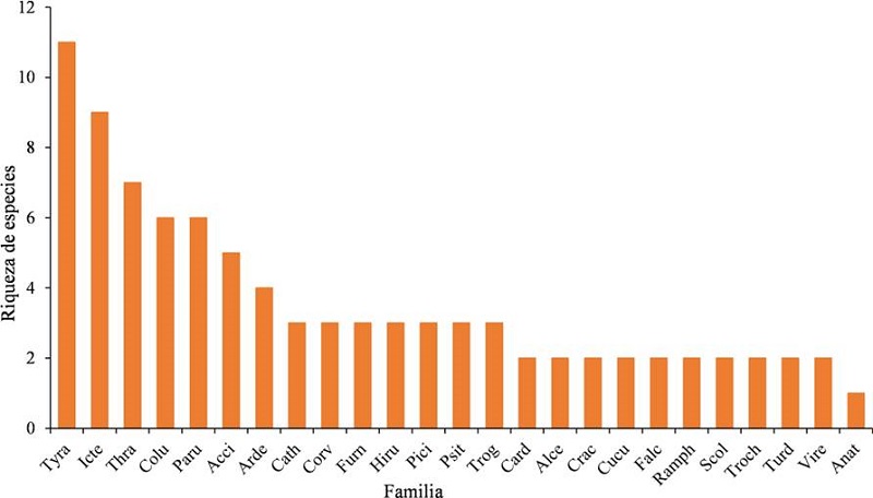 Riqueza de especies de aves por familia en el ejido Laguna Om. Abrev: Tyrannidae (Tyra), Icteridae (Icte), Thraupidae (Thra), Columbidae (Colu), Parulidae (Paru), Accipitridae (Acci), Ardeidae (Arde), Cathartidae (Cath), Corvidae (Corv), Furnariidae (Furn), Hirundinidae (Hiru), Picidae (Pici), Psittacidae (Psit), Troglodytidae (Trog), Cardinalidae (Card), Cerylidae (Cery), Cracidae (Crac), Cuculidae (Cucu), Falconidae (Falc), Ramphastidae (Ramph), Scolopacidae (Scol), Trochilidae (Troch), Turdidae (Turd), Vireonnidae (Vire) y Anatidae (Anat) con una sola especie en el muestreo junto con otras 13 familias (Aramidae, Cotingidae, Jacanidae, Mimidae, Momotidae, Odontophoridae, Oxyruncidae, Paserellidae, Phalacrocoracidae, Rallidae, Tinamidae, Tityridae y Trogonidae).