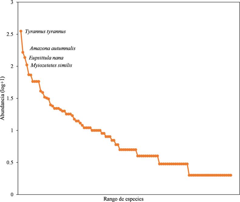 Curva de rango-abundancia del total de las especies de aves del ejido Laguna Om, Quintana Roo, M&eacute;xico. El eje x representa la riqueza y el eje y la abundancia relativa de las especies.
