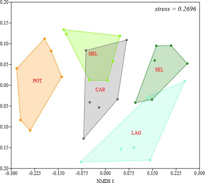 Variaci&oacute;n de la composici&oacute;n de las especies de aves entre los sitios de muestreo en cada tipo de h&aacute;bitat del ejido Laguna Om, Quintana Roo, M&eacute;xico. Abrev: Potrero (POT), Helechal (HEL), Carretera (CAR), Selva (SEL) y Laguna (LAG).
