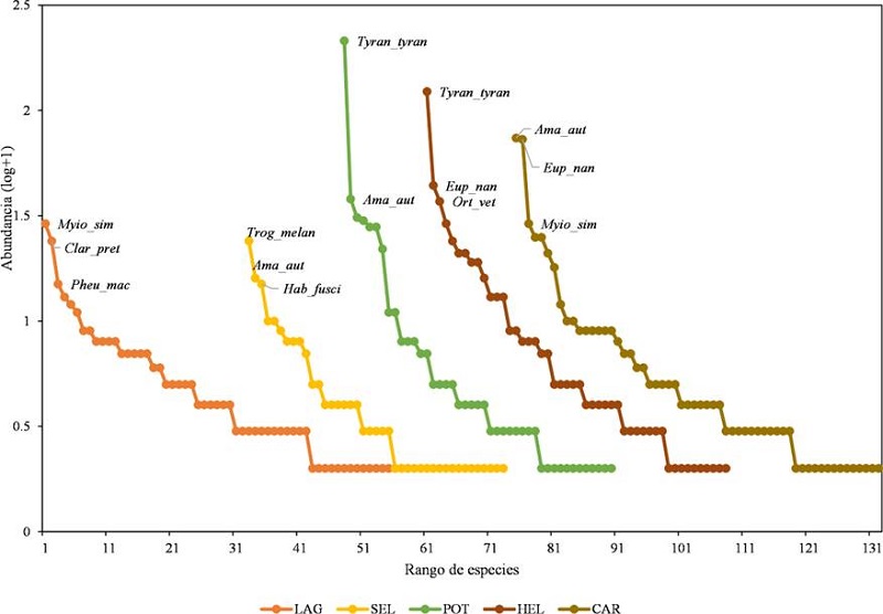 Curva de rango-abundancia de las especies de aves por tipo de h&aacute;bitat en el ejido Laguna Om. El eje x representa la riqueza de especies mientras que el eje y muestra la abundancia relativa de las especies. Abrev: Myiozetetes similis (Myio_sim), Claravis pretiosa (Clar_pret), Pheugopedius maculipectus (Pheu_mac), Trogon melanocephalus (Trog_melan), Amazona autumnalis (Ama_aut), Habia fuscicauda (Hab_fusci), T. Tyrannus (Tyran_tyran), Eupsittula nana (Eup_nan), Ortalis vetula (Ort_vet). Laguna (LAG), Selva (SEL), Potrero (POT), Helechal (HEL) y Carretera (CAR).