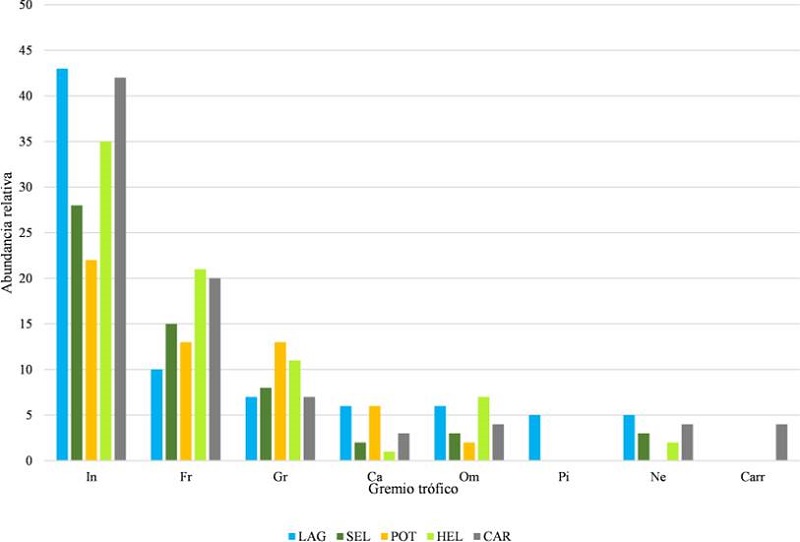 Abundancia relativa de aves en los gremios tr&oacute;ficos por tipo de h&aacute;bitat en el ejido Laguna Om, Quintana Roo, M&eacute;xico. Abrev: Insect&iacute;voro (In), Frug&iacute;voro (Fr), Gran&iacute;voro (Gr), Carn&iacute;voro (Ca), Omn&iacute;voro (Om), Pisc&iacute;voro (Pi), Nectar&iacute;voro (Ne) y Carro&ntilde;ero (Carr).