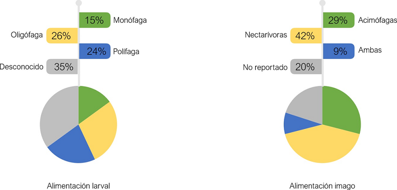 Porcentajes del registro del tipo de alimentaci&oacute;n reportada para mariposas en sus estadios larval e imago.