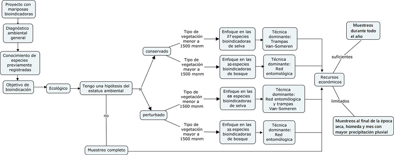Secuencia sugerida para trabajar con el cat&aacute;logo de mariposas bioindicadoras del Anexo 1.
