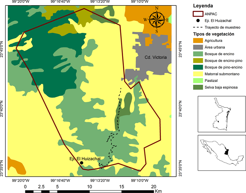 Localización geográfica del Área Natural Protegida Altas Cumbres (ANPAC), Tamaulipas, México y ubicación del transecto donde se realizó la colecta de excretas de la zorra gris (Urocyon cinereoargenteus).