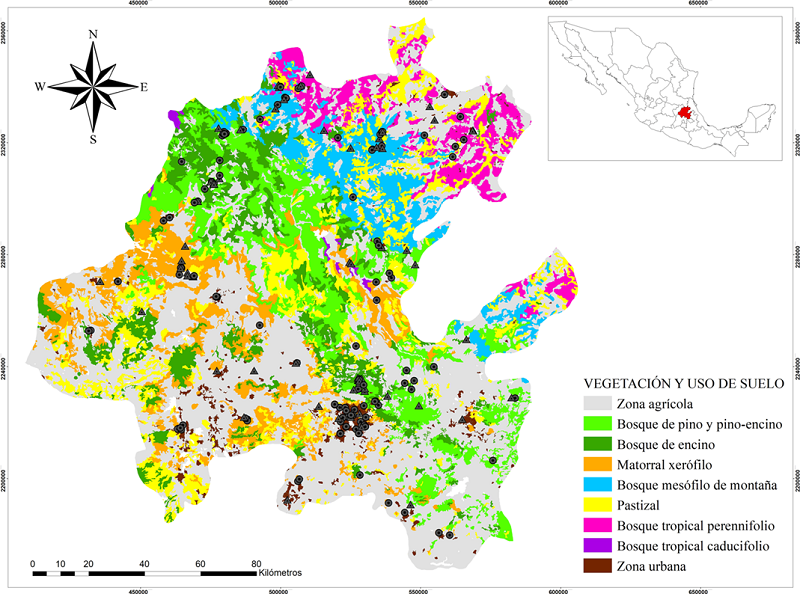 Especies de car&aacute;bidos registradas por tipos de vegetaci&oacute;n del estado de Hidalgo. Los c&iacute;rculos grises representan las especies distribuidas en la entidad. Los tri&aacute;ngulos grises representan los primeros registros para el estado. Elaborado mediante el conjunto de datos vectoriales serie VI INEGI (2017).