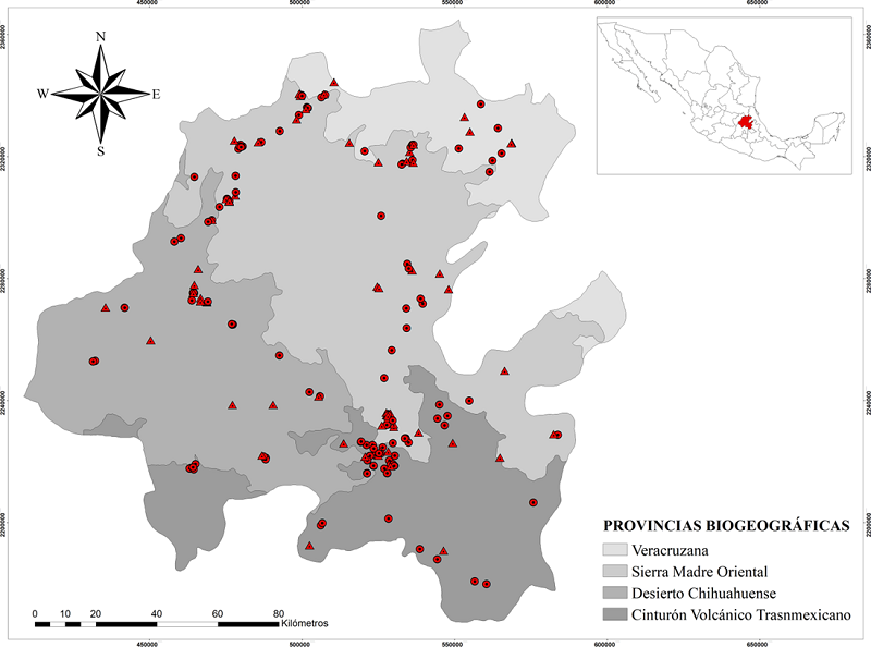 Especies de car&aacute;bidos registradas en las provincias biogeogr&aacute;ficas del estado de Hidalgo (c&iacute;rculos rojos). Los tri&aacute;ngulos rojos representan primeros registros estatales. Elaborado con datos digitales provenientes de Morrone et al. (2017).