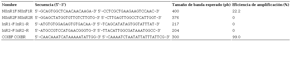 Cebadores utilizados para la bioprospecci&oacute;n de receptores de insulina (Ding et al., 2017; Lin et al., 2018) y del gen COI subunidad I (Hebert et al., 2004) en Brevicoryne brassicae.