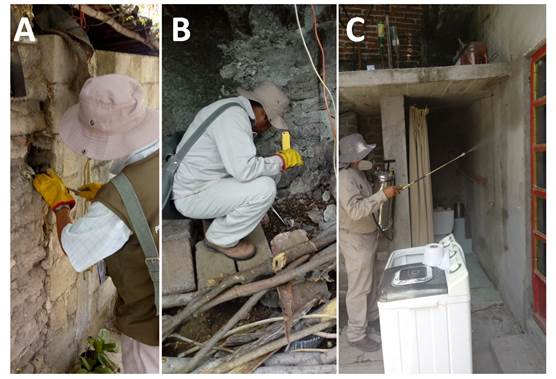 A y B) Salubrista realizando búsqueda activa de individuos en peridomocilio. C) Rociado residual con varilla.