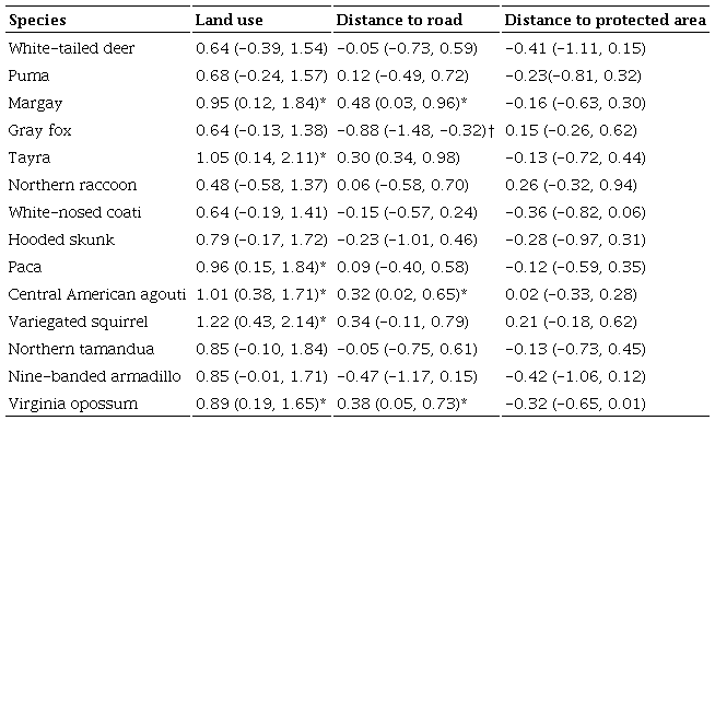 Summary of mean model coefficients and their 95% credible intervals for species-level relationships between relative abundance estimates (λ&nbsp;) and model covariates and the direction of the effect of statistically significant covariates. Measures for mammals detected in camera-trapping surveys conducted during March-May 2014. Statistical significance is based on 95% credible interval non-overlap with zero. * and &dagger; indicate a positive and negative association respectively to covariate.