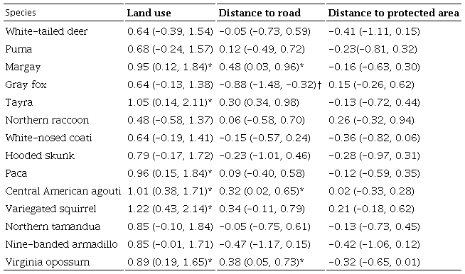 Summary of mean model coefficients and their 95% credible intervals for species-level relationships between relative abundance estimates (λ&nbsp;) and model covariates and the direction of the effect of statistically significant covariates. Measures for mammals detected in camera-trapping surveys conducted during March-May 2014. Statistical significance is based on 95% credible interval non-overlap with zero. * and &dagger; indicate a positive and negative association respectively to covariate.