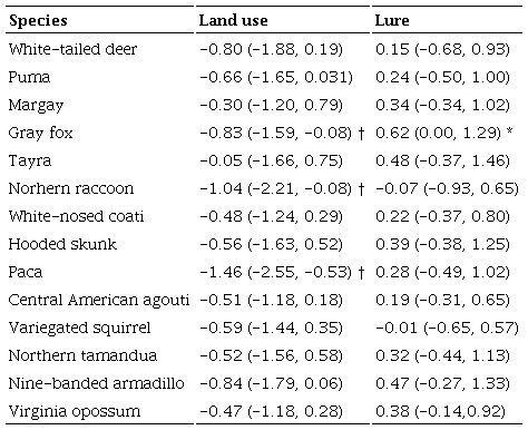 Summary of mean model coefficients and their 95% credible intervals for species-level relationships between probability of detection (p) and model covariates and the direction of the effect of statistically significant covariates. Measures for mammals detected in camera-trapping surveys conducted during March-May 2014. Statistical significance is based on 95% credible interval non-overlap with zero. * and &dagger; indicate a positive and negative association respectively to covariate. Reference covariate for land use covariate is forest (in contrast with coffee plantation), while for the lure covariate the reference covariate was use of lure.