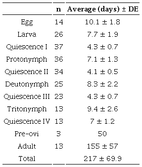 Biological cycle of Allogalumna (Acrogalumna) longipluma.