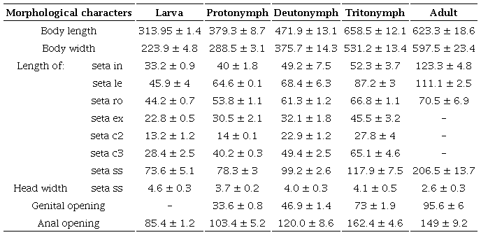 Measurements of some morphological characters of the immature and adult stages of Allogalumna (Acrogalumna) longipluma.
