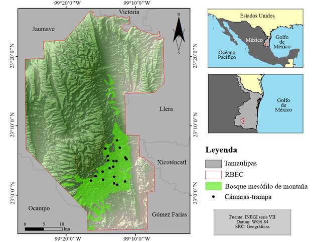 Ubicaci�n geogr�fica de las estaciones de c�maras-trampa, del bosque mes�filo de monta�a (BMM) y de la reserva de la biosfera El Cielo (RBEC), Tamaulipas, M�xico.
