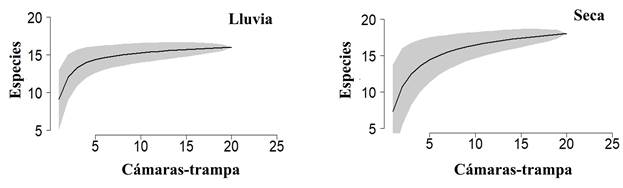 Curvas de acumulaci�n de especies de los mam�feros medianos y grandes del bosque mes�filo de monta�a de la reserva de la biosfera El Cielo, Tamaulipas, M�xico, durante la temporada de lluvia y seca.