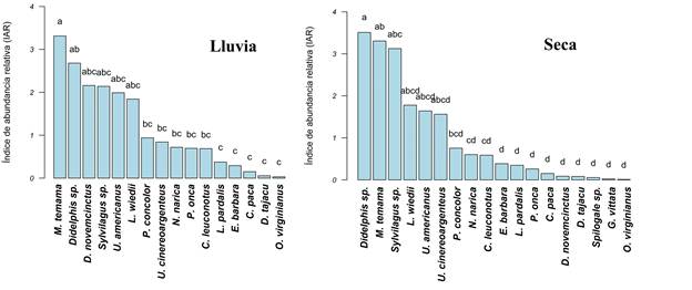 �ndice de abundancia relativa de los mam�feros medianos y grandes de la reserva de la biosfera El Cielo, Tamaulipas, M�xico, durante la temporada de lluvia y seca. Las letras encima de las barras indican el resultado de la prueba a posteriori, letras similares indican que no hay diferencias significativas entre las especies.