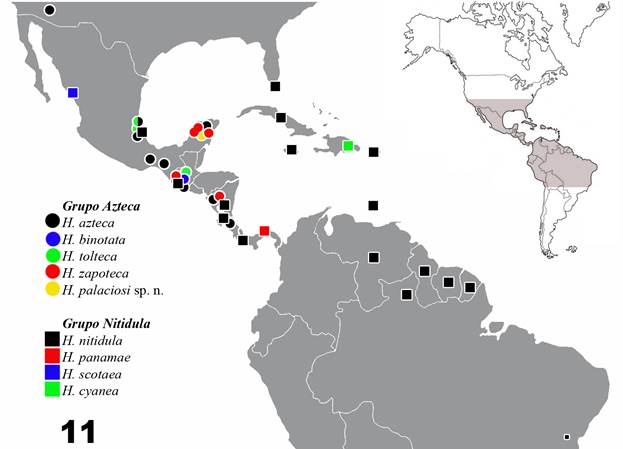 Mapa de distribuci�n del g�nero Holocompsa Burmeister, 1838 en Am�rica.