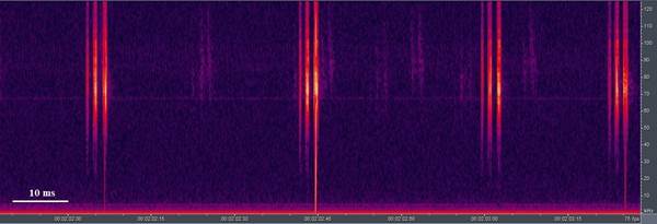 Espectro de frecuencia del canto de llamado de un macho de Obolopteryx eurycerca.