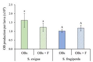 Mean ( SE) occlusion body (OB) production in larvae of S. exigua and S. frugiperda inoculated with their homologous OBs alone (OBs; solid columns), or OBs following larval treatment with flufenoxuron (OBs + F; hatched columns). Columns headed by identical letters (S. exigua/SeMNPV, lowercase; S. frugiperda/SfMNPV, uppercase) did not differ significantly (t-test, P > 0.05).