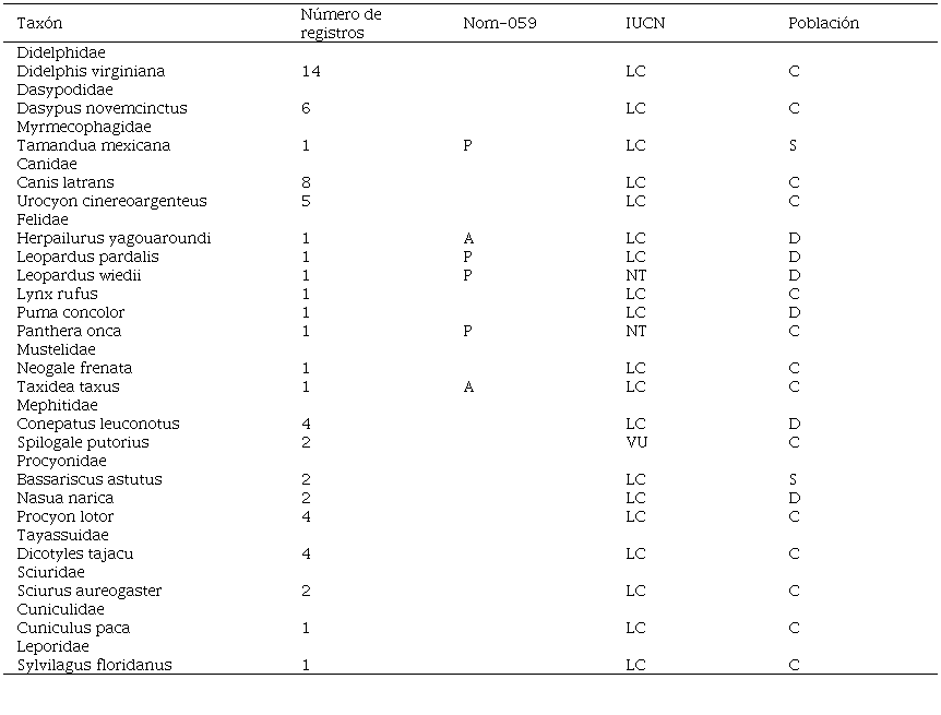 Lista de las especies de mam�feros afectados en las carreteras del estado de Tamaulipas. Estados de conservaci�n de acuerdo con la Nom-059- SEMARNAT (2010) se indica en peligro de extinci�n (P) y Amenazada (A). A nivel internacional se indican los estados de conservaci�n y tendencias poblacionales de acuerdo con la IUCN (2023). Estados de conservaci�n: Preocupaci�n menor (LC), Casi amenazada (NT), y Vulnerable (VU). Tendencias de las poblaciones: Creciente (C), Decreciente (D) y Se desconocida (S).