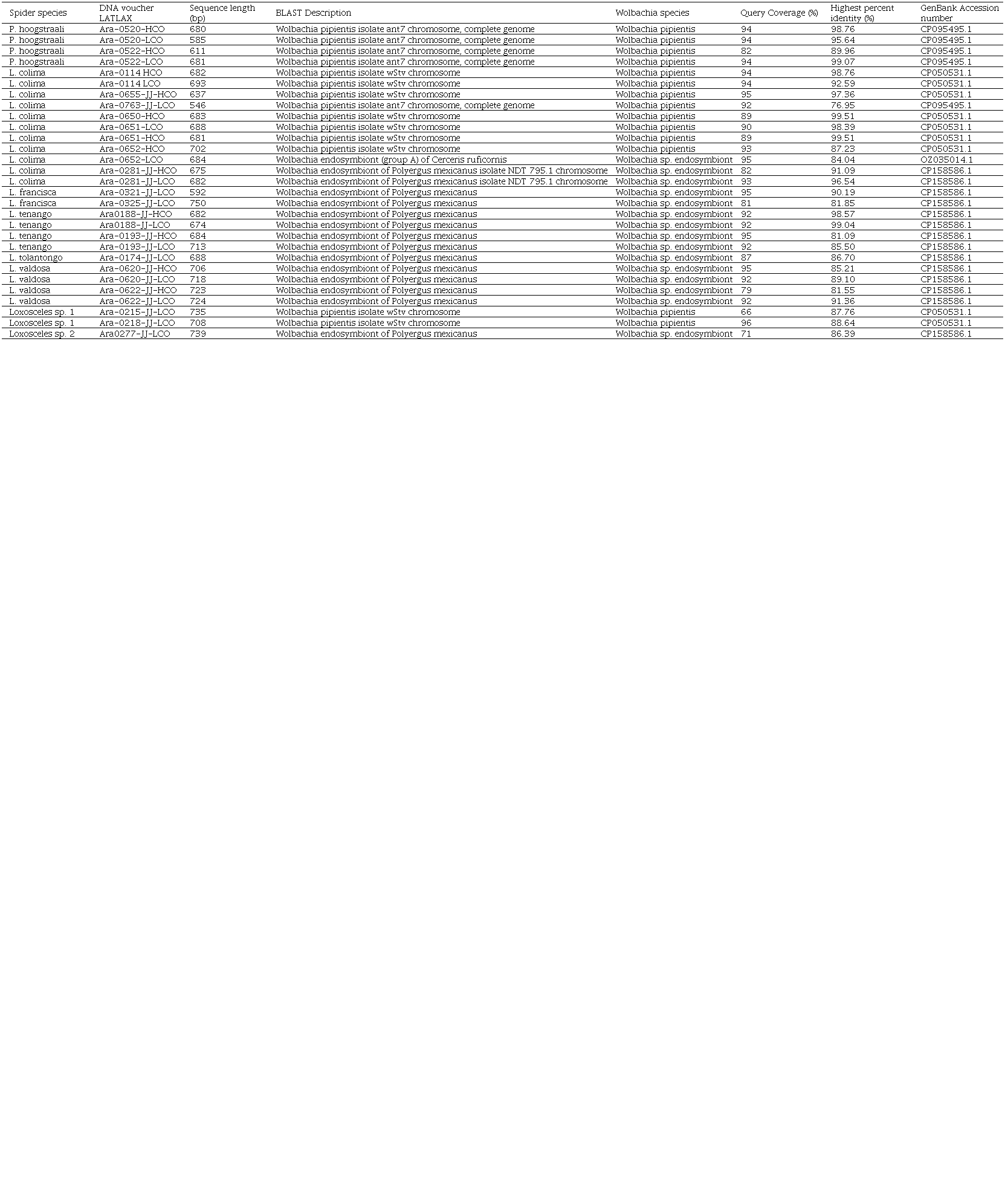 Summary of the sequences from Physocyclus (Pholcidae) and Loxosceles (Sicariidae) found with the highest significant alignment identities and similarities with the bacteria Wolbachia using the BLAST search tools. HCO= reverse, LCO= forward.