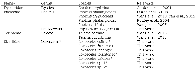 Families, genera, and species of Synspermiata spiders with reports of Wolbachia infection. *= indicates first record of infection by Wolbachia.