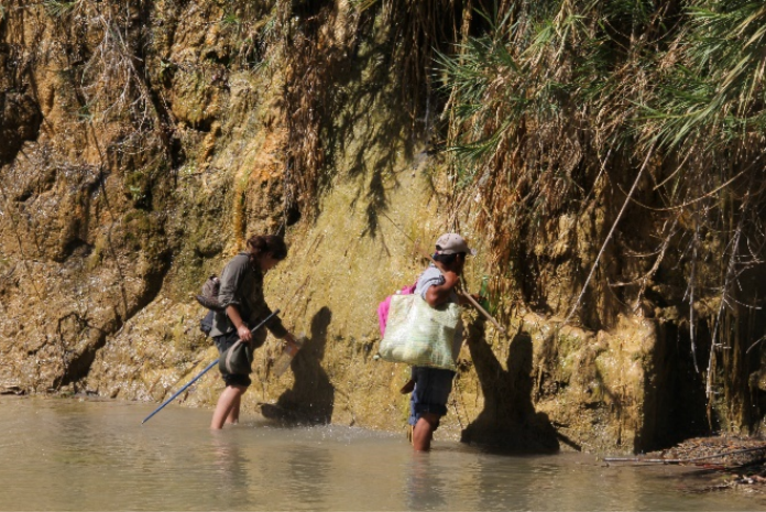 En algunos puntos del rio existen escurrimientos, tipo cascadas, ojos de agua e incluso aguas termales. Lamentablemente, muchos de ellos coinciden en la orilla norte del r�o por donde pasa la autopista Mitla Tehuantepec. Fotograf�a de G. Pozo-Montuy 15Q 201078.35 m E 1855254.01 m N