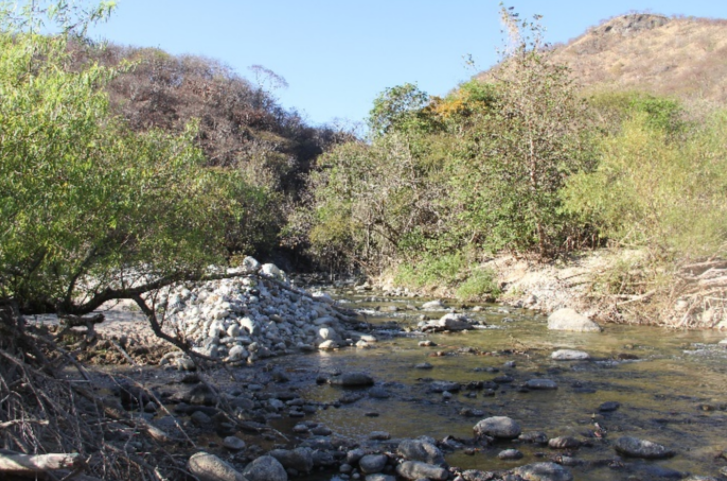 Uno de los numerosos arroyos permanentes que desembocan en el R�o Tehuantepec. Algunos de los arroyos son Arena, Cacao, Juchitengo, Lachizila, El Macahuate, El Ciruelo y Quiabicusa. Fotograf�a de G. Pozo-Montuy 15Q 214868.03 m E 1848006.65 m N