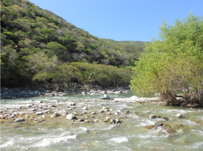 Inicio del tramo del r�o. Con corriente moderada y peque�as rocas en el lecho. Abundante vegetaci�n de selva baja caducifolia. Fotograf�a de G. Pozo-Montuy 15Q 194442.73 m E 1857625.23 m N