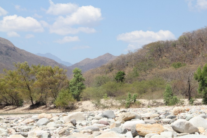 Se observa la cantidad de rocas formando banco en secciones del r�o y encajonando el paso del agua formando incluso bifurcaciones en la corriente. Tambi�n se formaban islas de arena y roca con �rboles del g�nero Salix. Fotograf�a de G. Pozo-Montuy 15Q 204640.33 m E 1852471.58 m N
