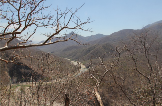 Vista panor�mica del R�o Tehuantepec, al fondo se observa uno de los picos m�s al norte de la sierra madre del sur. La vegetaci�n de selva baja caducifolia es amplia y abundante. Fotograf�a de G. Pozo-Montuy 15Q 205447.00 m E 1851993.73 m N