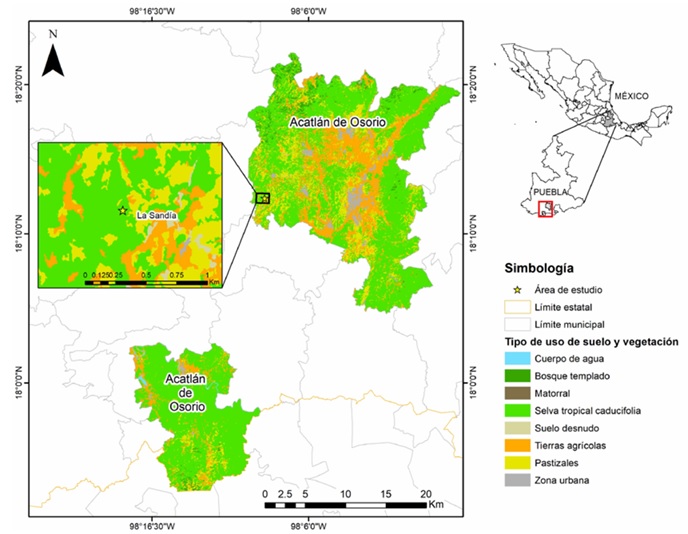 Ubicaci�n del �rea de estudio, usos de suelo y tipos de vegetaci�n en el municipio de Acatl�n de Osorio, Puebla.