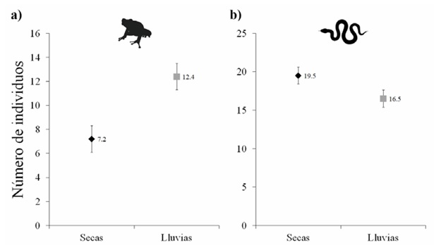 Abundancia de anfibios (a) y reptiles (b) registrada en la estaci�n seca y en la estaci�n de lluvias en la selva tropical caducifolia de La Sand�a, Acatl�n de Osorio, Puebla. Los marcadores y l�neas en color negro muestran los valores para la estaci�n de secas, y en color gris para la estaci�n de lluvias. Para cada estaci�n clim�tica se muestra la media (marcadores) y el error est�ndar (barras de error).