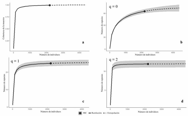 Curva de rarefacci�n de la Sierra de Santa Catarina, Ciudad de M�xico. a = Curva de completitud de la muestra; b = riqueza de especies; c = N�mero efectivo de especies (Exponencial del �ndice de Shannon); d = Especies dominantes (inverso del �ndice de Simpson). Extrapolaciones basadas en el tama�o de la muestra. Marzo del 2022 a febrero 2023.