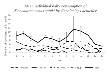 mean number of Steneotarsonemus spinki specimens consumed by adult females of Gaeolaelaps aculeifer, separated by stages, as well as total consumption, over 13 days in sandwich arenas. Vertical lines represent the standard error of each reading.