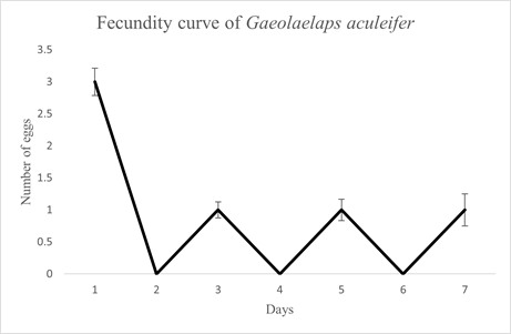Average fecundity (number of eggs laid) over successive days of confinement of Gaeolaelaps aculeifer females in sandwich arenas, fed with Steneotarsonemus spinki. Vertical lines represent the standard error of each reading.