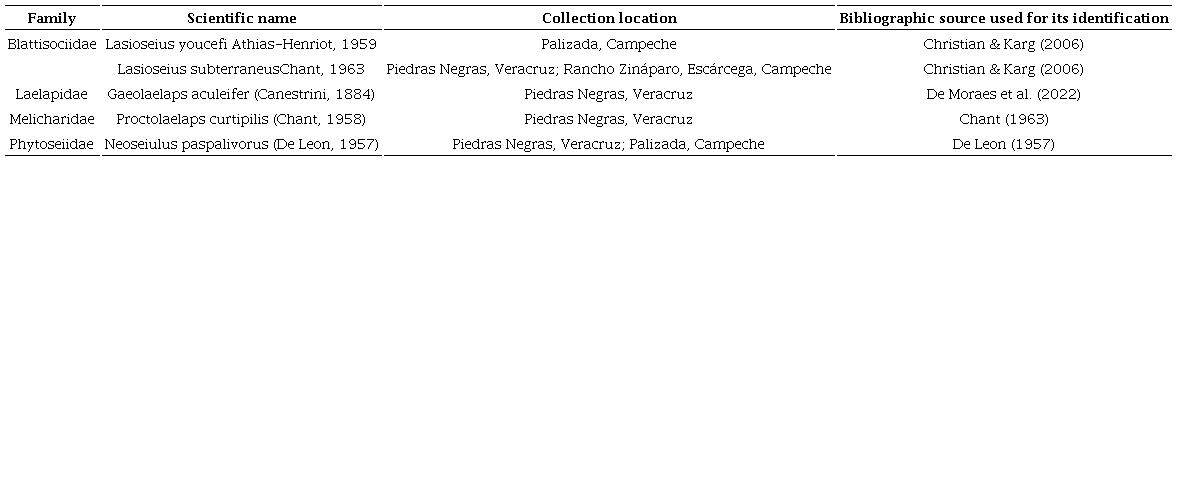 Predatory mites associated with Steneotarsonemus spinki in rice in collections carried out in the states of Campeche, Tabasco, and Veracruz, Mexico.