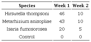 Percentage of mites identified as infected by pathogenic fungi in sandwich arena tests.
