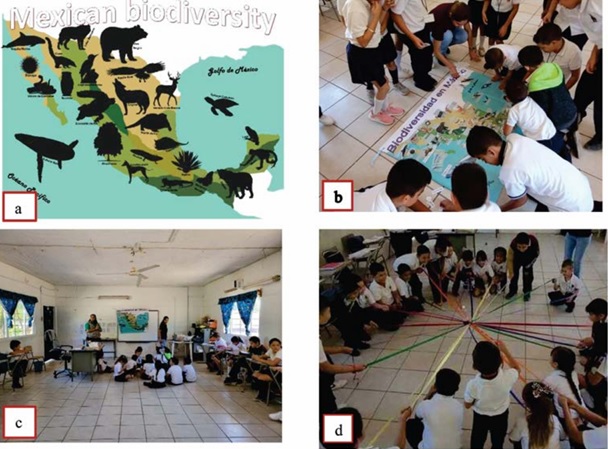 Teaching aids for learning strengthen; a) representative wildlife species of Mexico; b) practical activity relative to wildlife species distribution in Mexico; c) theoretical reinforcement activity with emphasis on endemic fauna species listed in the NOM 059; d) classroom dynamic activity to reinforce collaborative work: &ldquo;The planet in our hands&rdquo;.
