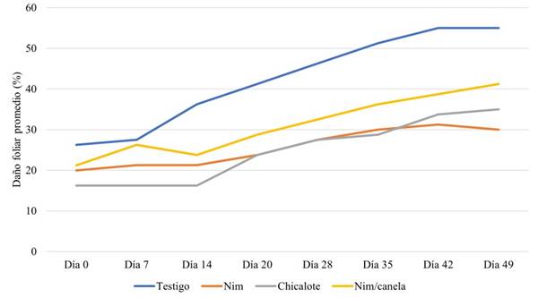 Variaci�n semanal del porcentaje de da�o foliar en los �rboles bajo estudio para cada tratamiento durante los 49 d�as de trabajo experimental en el rancho &ldquo;El Carmen&rdquo;, Calpan, Puebla.