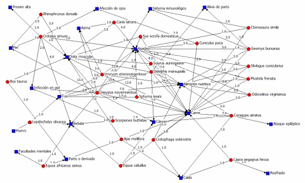 An�lisis de redes aplicado al consumo, las partes consumidas y enfermedades que potencialmente cura la fauna en comunidades de Sierra de Mariscal, Chiapas y en Guatemala. En c�rculos rojos se indican las especies, en cuadros azules los usos, forma de consumo y beneficio asumido; los valores m�s cercanos a 10, indican mayor interacci�n y cercanos a 1, menor interacci�n.