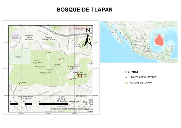 Ubicaci�n de los 18 puntos de muestreo dentro del Bosque de Tlalpan.