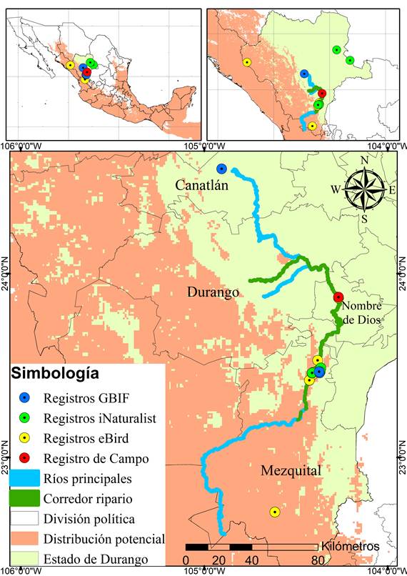 Distribuci�n potencial y registros de Pachyramphus aglaiae en la cuenca San Pedro Mezquital, Durango, M�xico.