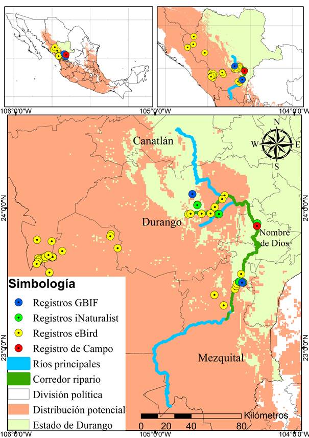 Distribuci�n potencial y registros de Melanotis caerulescens en la cuenca San Pedro Mezquital, Durango, M�xico.