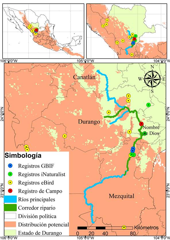 Distribuci�n potencial y registros de Icterus wagleri en la cuenca San Pedro Mezquital, Durango, M�xico.