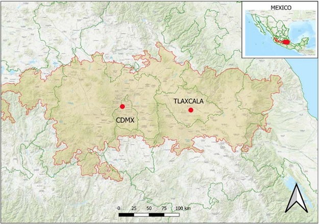 Known distribution records of Curicaberis pedregal. The light orange region outlined in red represents the Trans-Mexican Volcanic Belt (TMVB) biogeographic province. CDMX, Mexico City (type locality).