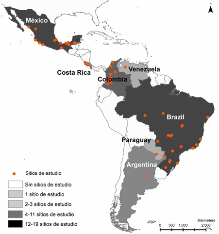 Sitios de estudio de las publicaciones seleccionadas sobre atropellamiento de vertebrados y la cantidad de estudios revisados por pa�ses de Latinoam�rica.